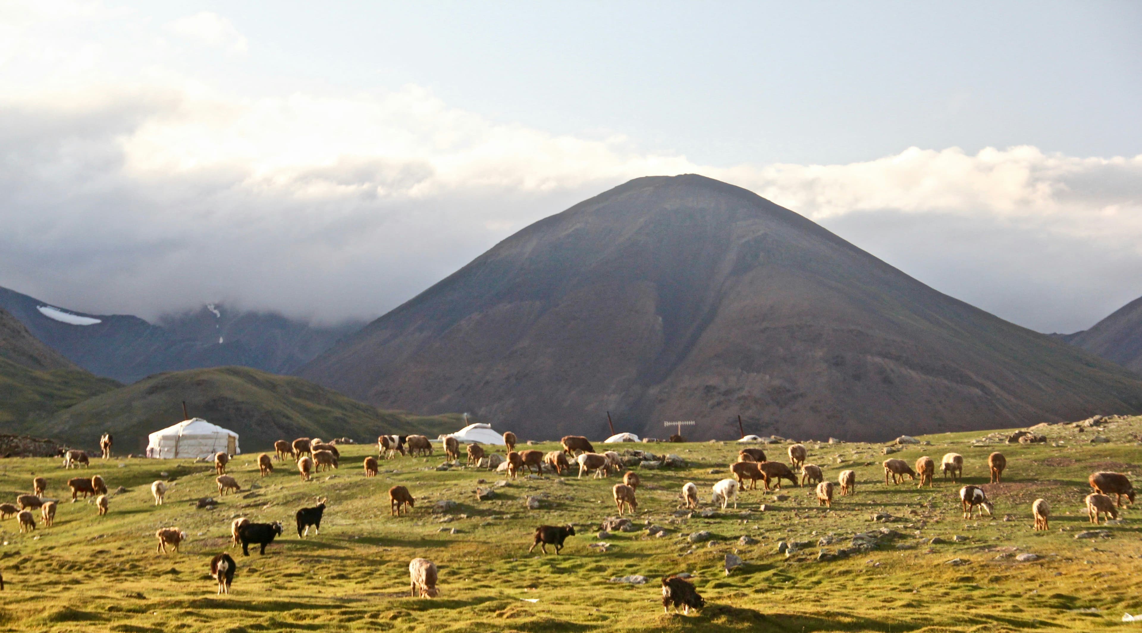 Experience Mongolia